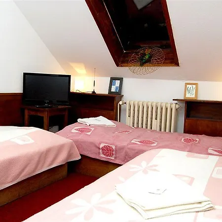 Auberge de jeunesse Free Zone